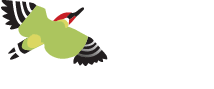 Camping Du Quinquis